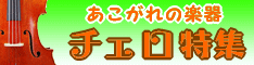 �`�F���̔��R�[�i�[