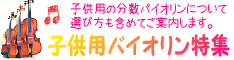 �q���p�����o�C�I�����̔��R�[�i�[