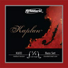 Kaplan