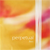 Perpetual