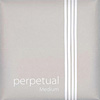 Perpetual