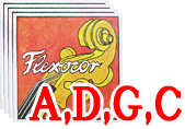 ѥåȸFlexocor