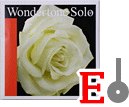バイオリン弦　Wondertone Solo／Ｅ線3103