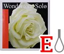 バイオリン弦　Wondertone Solo／Ｅ線3106