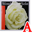 バイオリン弦　Wondertone Solo／Ａ線4102