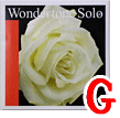 バイオリン弦　Wondertone Solo／Ｇ線4104