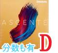 バイオリン弦　Ascente／Ｄ線A313