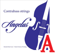 ȥХContrabass Strings