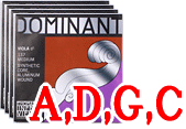 ӥѥåȸDominant