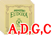 ӥѥåȸEudoxa