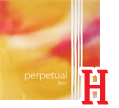 ȥХPerpetual3455