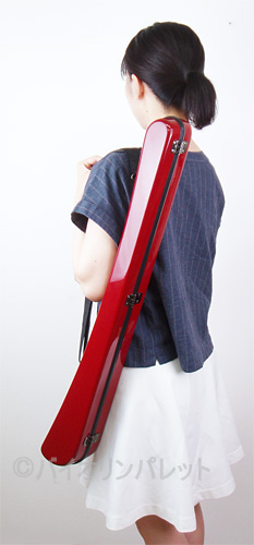 バス弓ケースEastman/Standard使用例