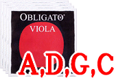 ӥѥåȸObligato