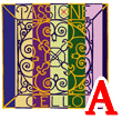 Passione3341