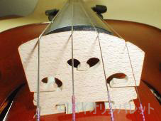 弦が駒に食い込んでいる